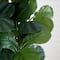 6ft. Artificial Fiddle Leaf Fig Tree with White Decorative Planter